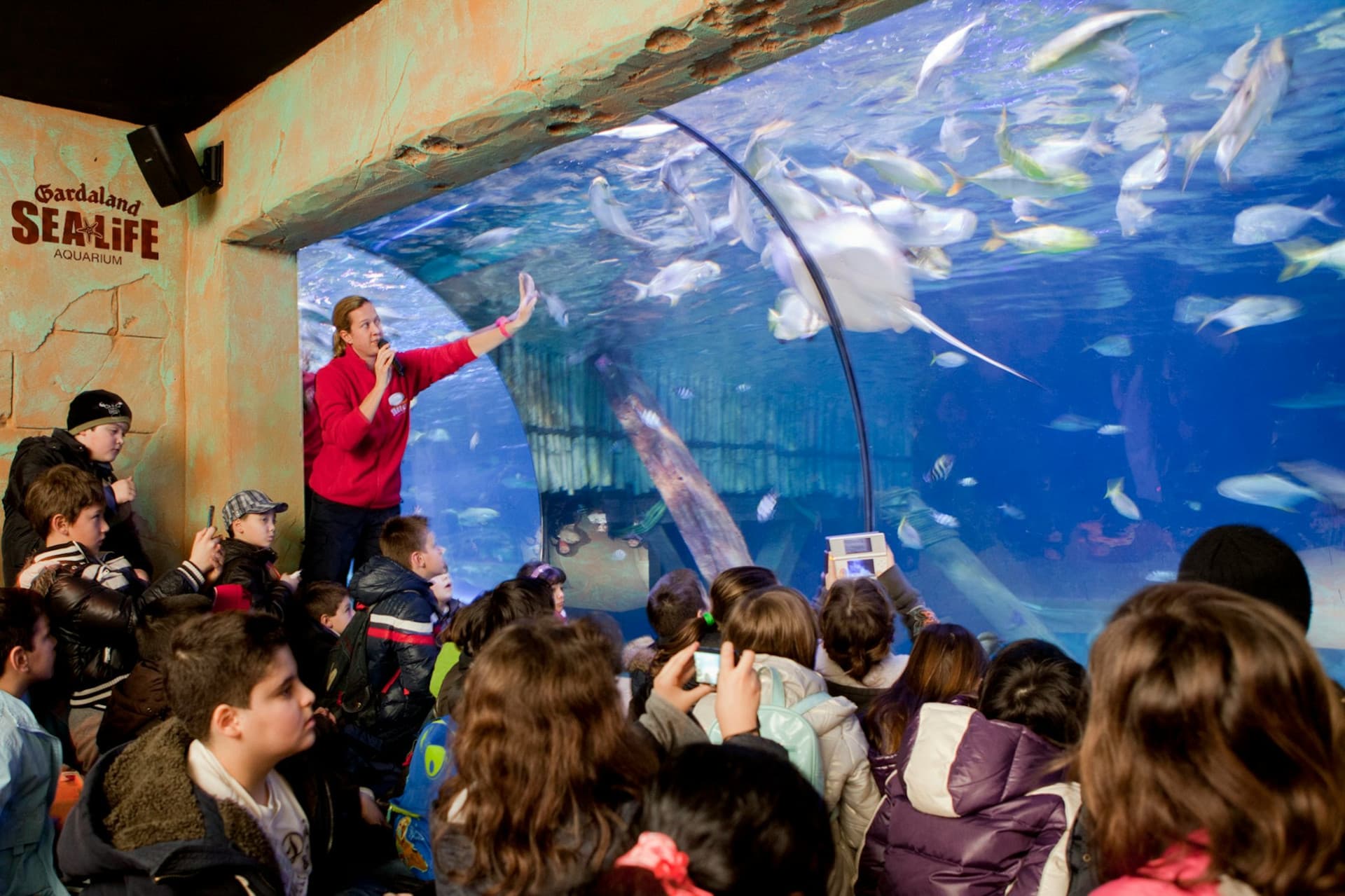 Gardaland SEA LIFE Aquarium Ticket - image 9