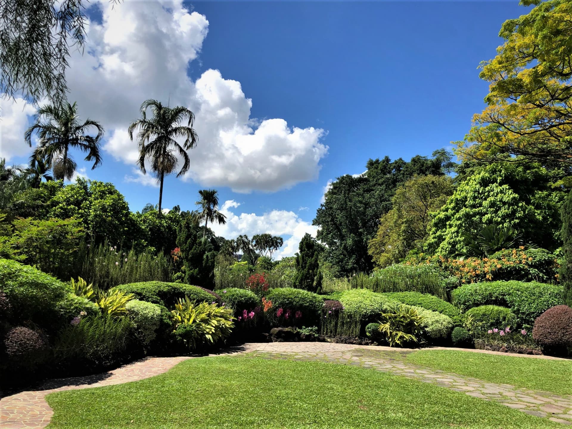 National Orchid Garden Ticket - image 2