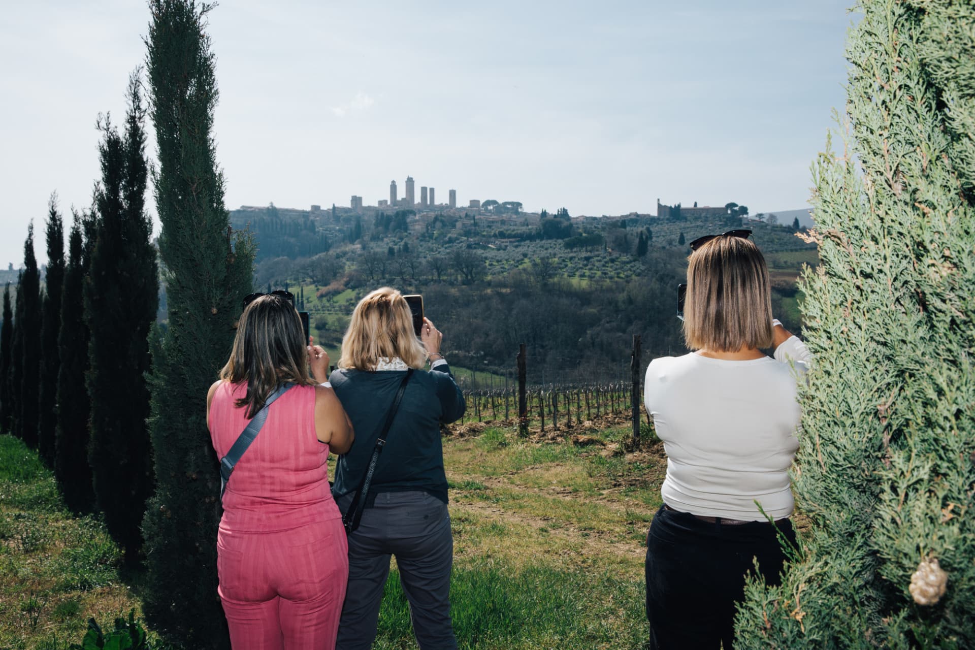 Tuscany Full-Day Tour from Florence: Pisa, Chianti, San Gimignano, Siena - image 6