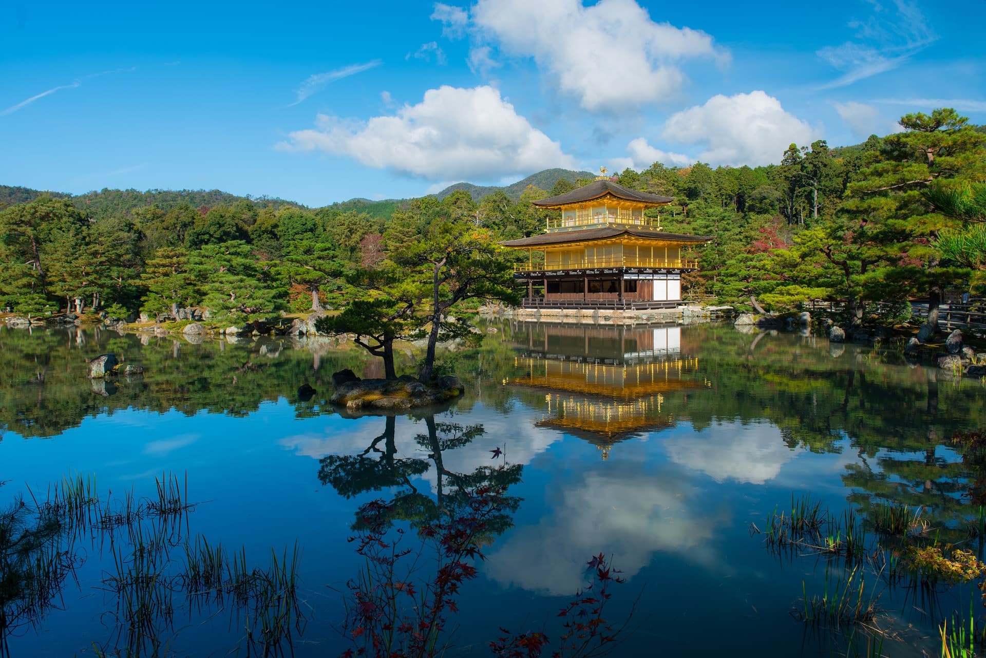 Kyoto and Nara Full-Day Tour from Kyoto - image 3