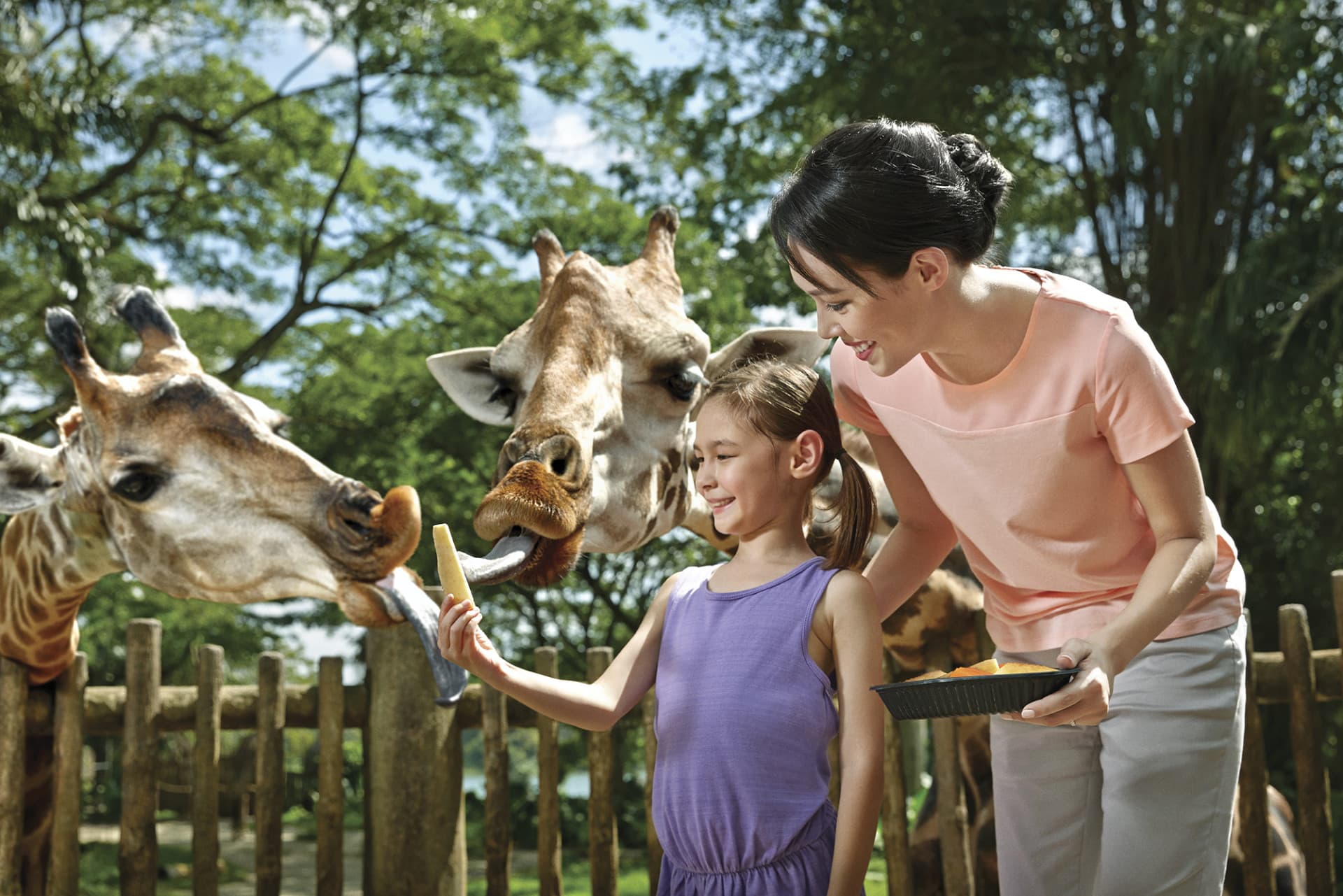 Go City Singapore All-Inclusive Pass: Save up to 50% on Attractions - image 17