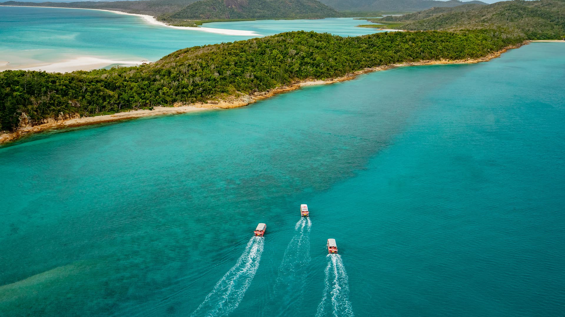 Thundercat Catamaran Whitsundays Islands Tour - imagen 5