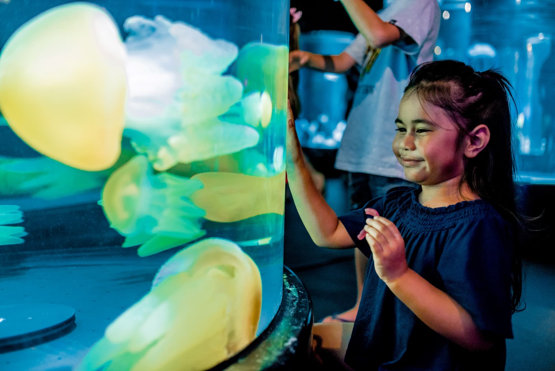 SEA LIFE Sydney Aquarium Direct Entry Ticket - image 2