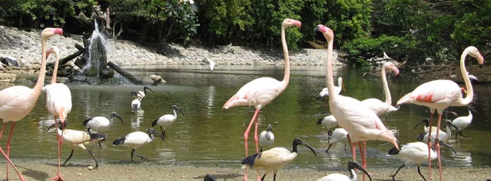 Neo Park Okinawa - imagen 8