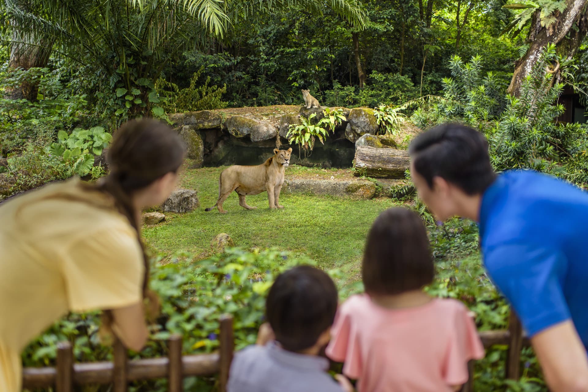 COMBO: Singapore Zoo + River Wonders Ticket - image 9