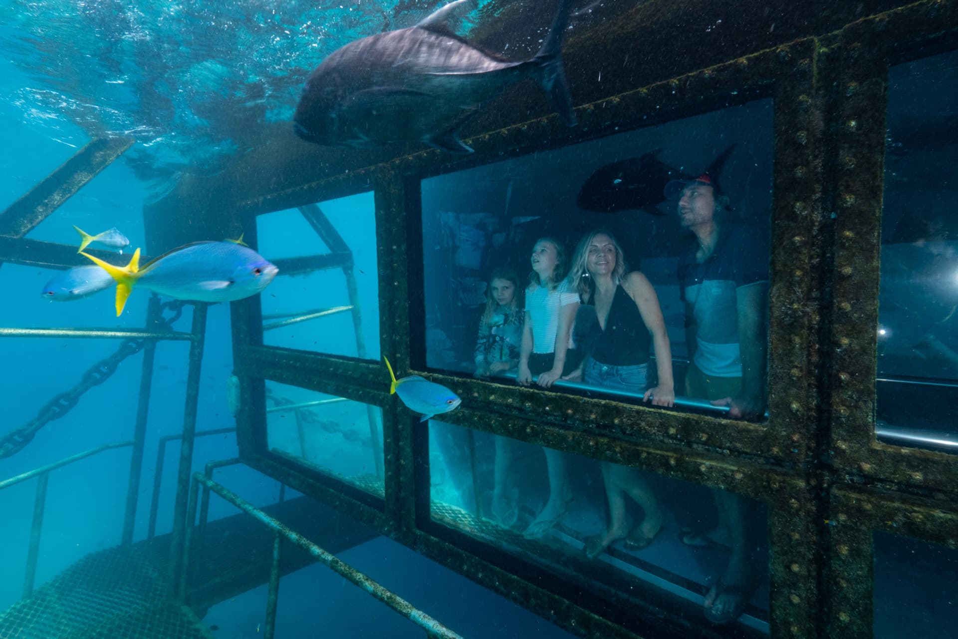 Reef Magic Pontoon Tour from Cairns - image 4