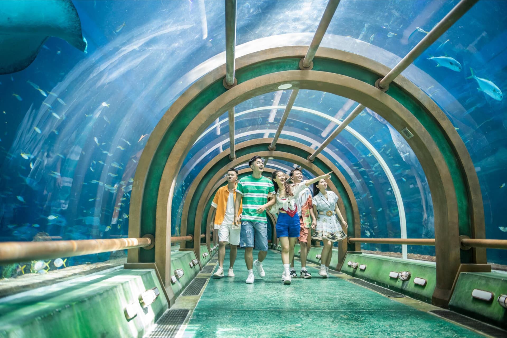 Entrada para el parque de atracciones VinWonders Phu Quoc - imagen 13