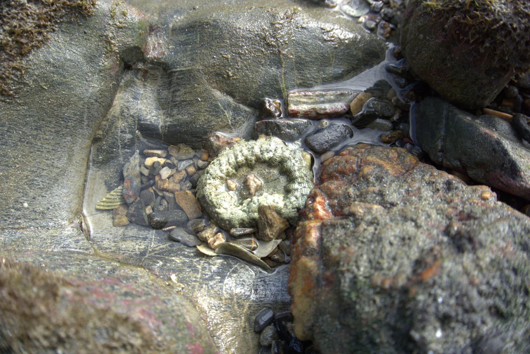 Desaru Beach and Tide Pool Walk - image 34