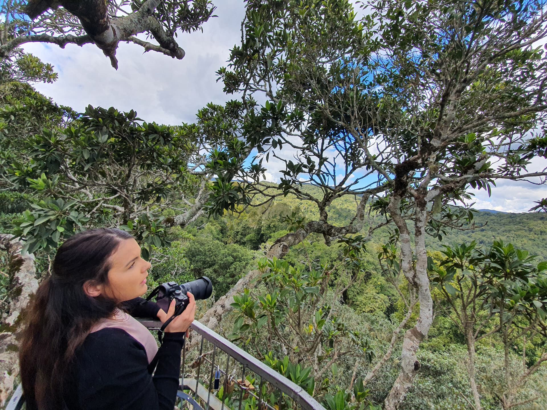 Lamington National Park Tour: O'Reilly's Rainforest Retreat and Canungra Valley Vineyard - 이미지 5