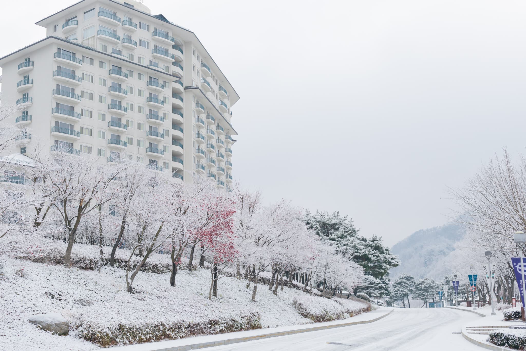 Elysian Gangchon Ski Resort and Eobi Ice Valley Full-Day Tour from Seoul - image 11