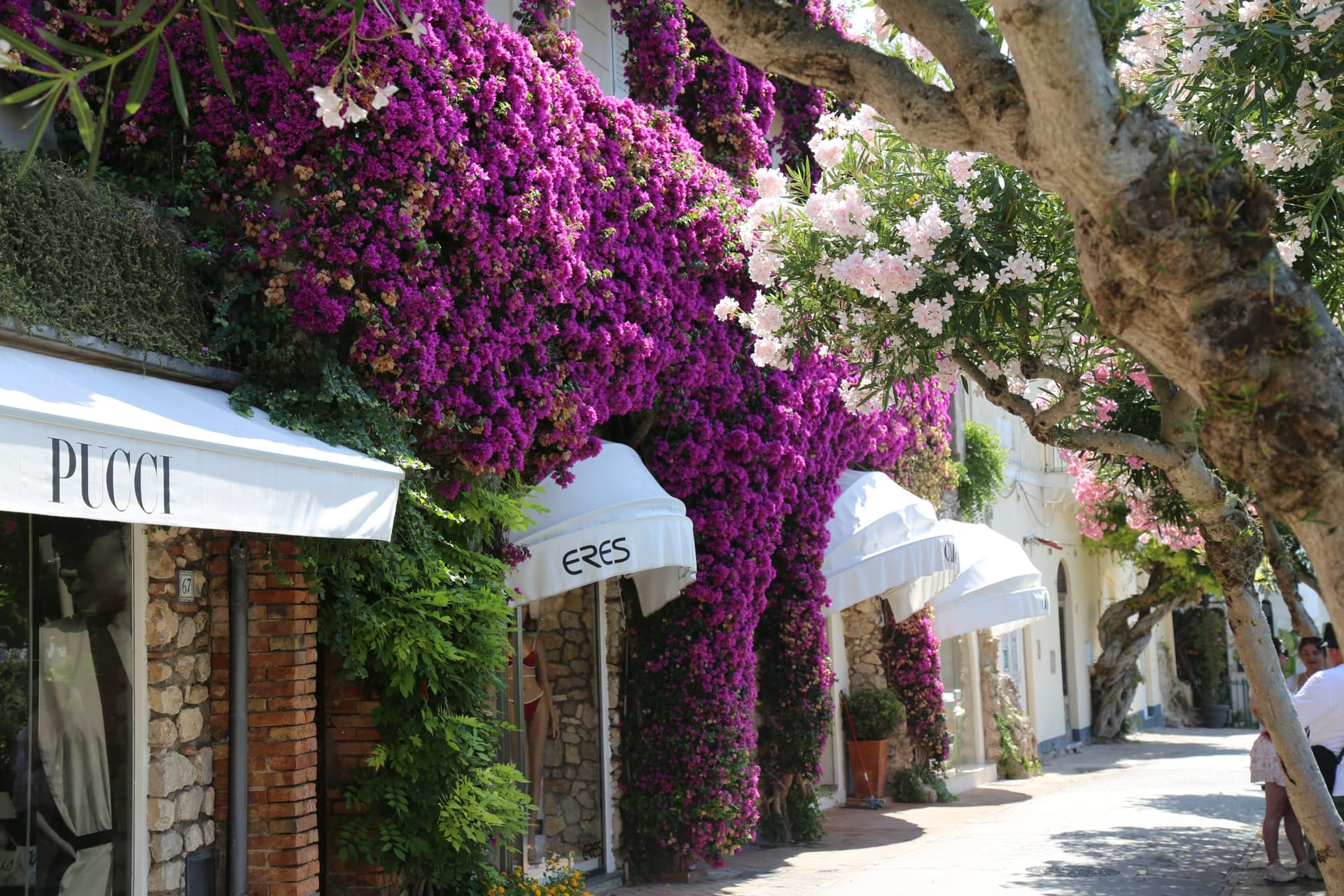 Tour of Capri & Anacapri with Blue Grotto from Naples - image 8