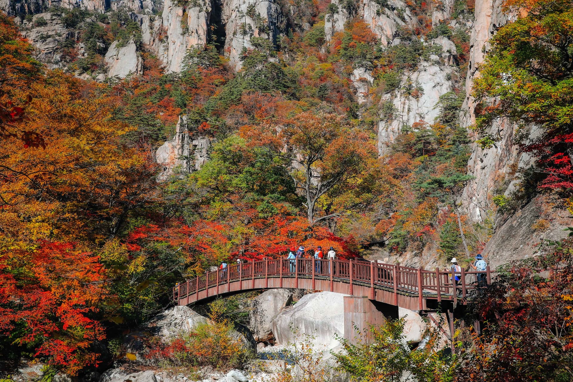 Tour de día completo a la isla de Nami, el monte Seorak y el Rail Bike de Gapyeong desde Seúl - imagen 3