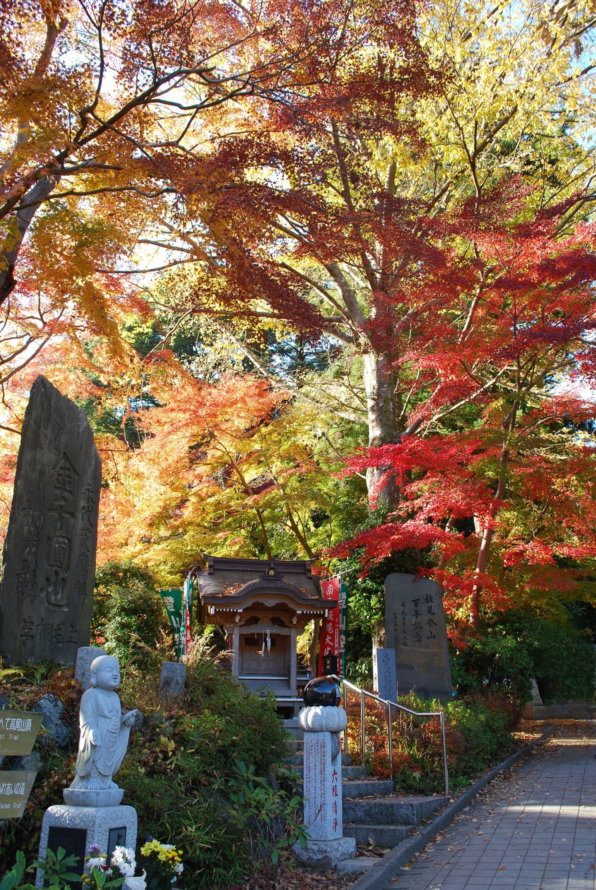 Greater Tokyo Pass - imagen 11