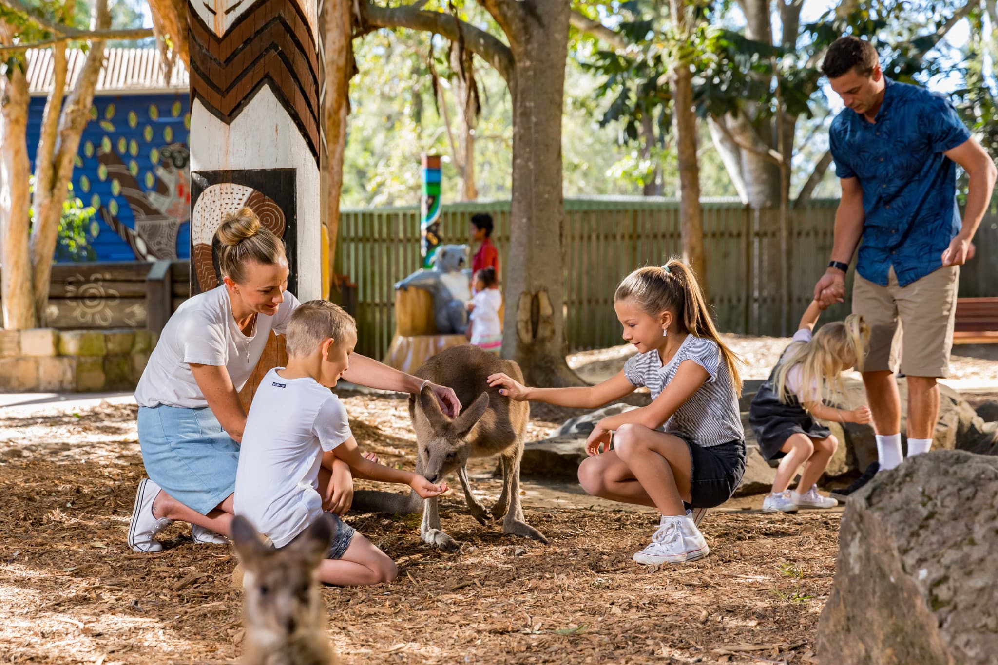 Dreamworld Gold Coast Ticket - image 5