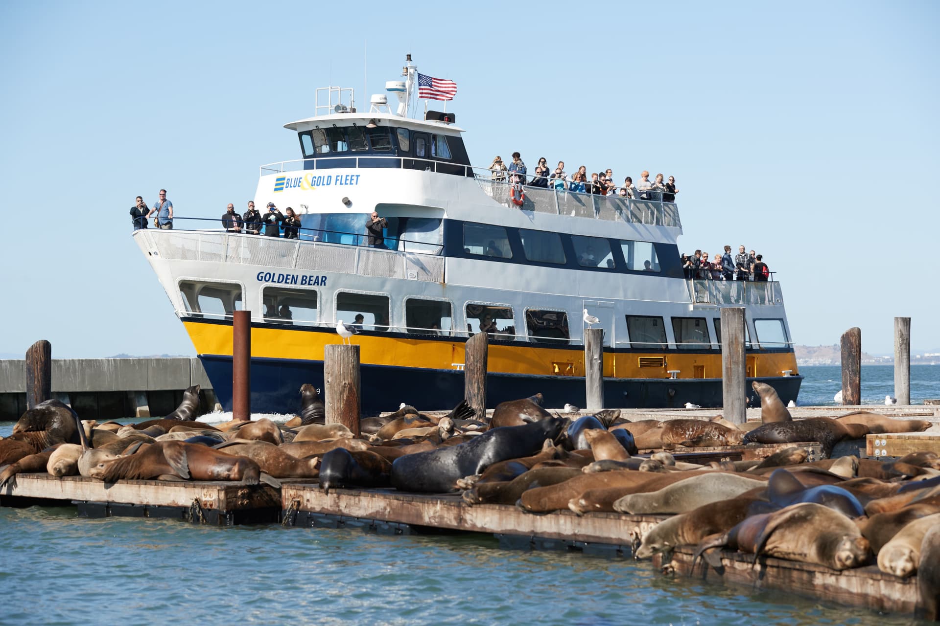 Go City San Francisco Explorer Pass: Save up to 50% on Attractions - image 34