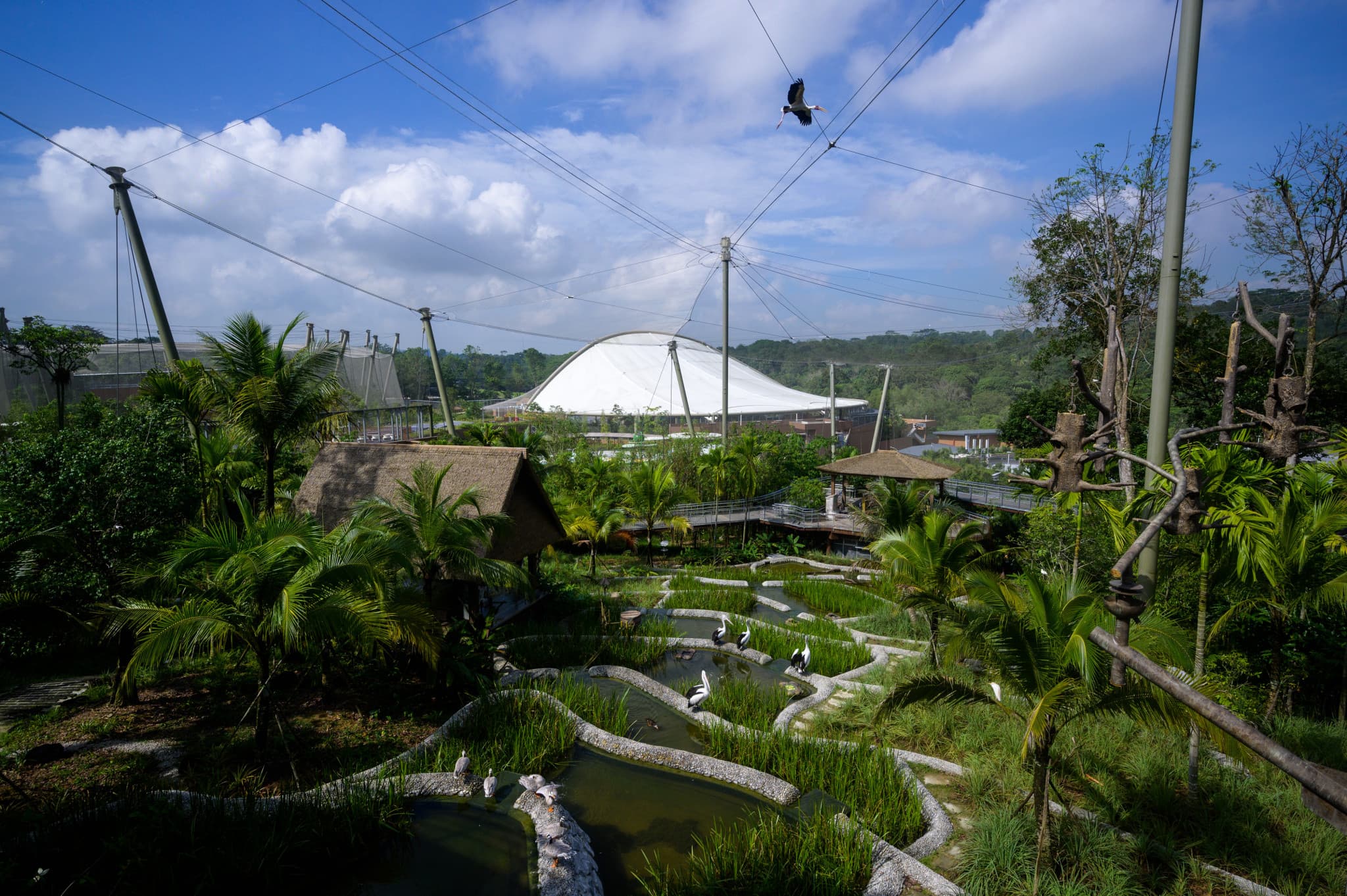COMBO: River Wonders + Bird Paradise Ticket - image 5