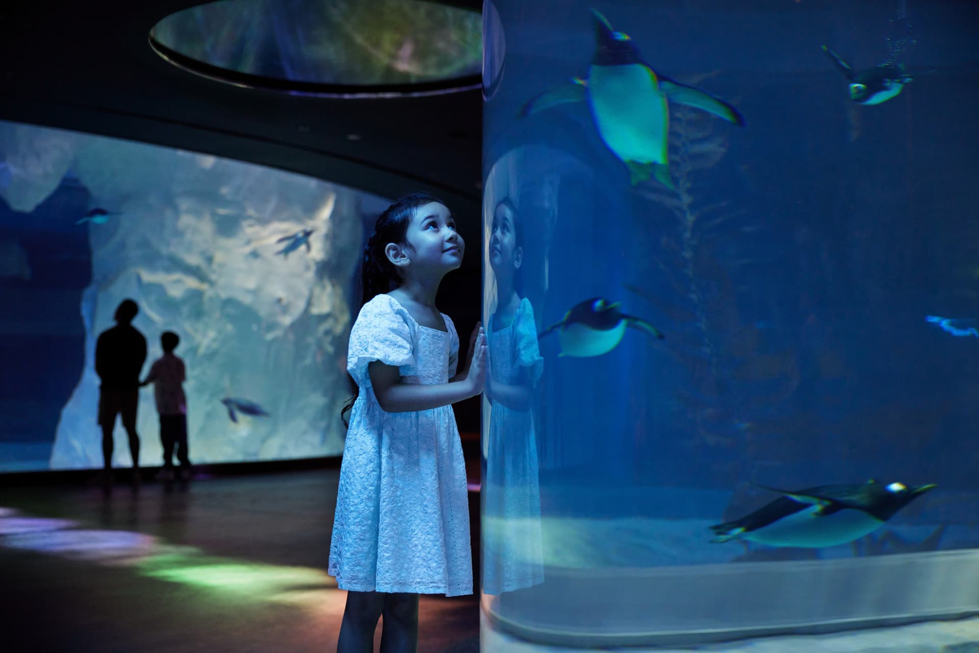 COMBO: River Wonders + Bird Paradise Ticket - imagen 18