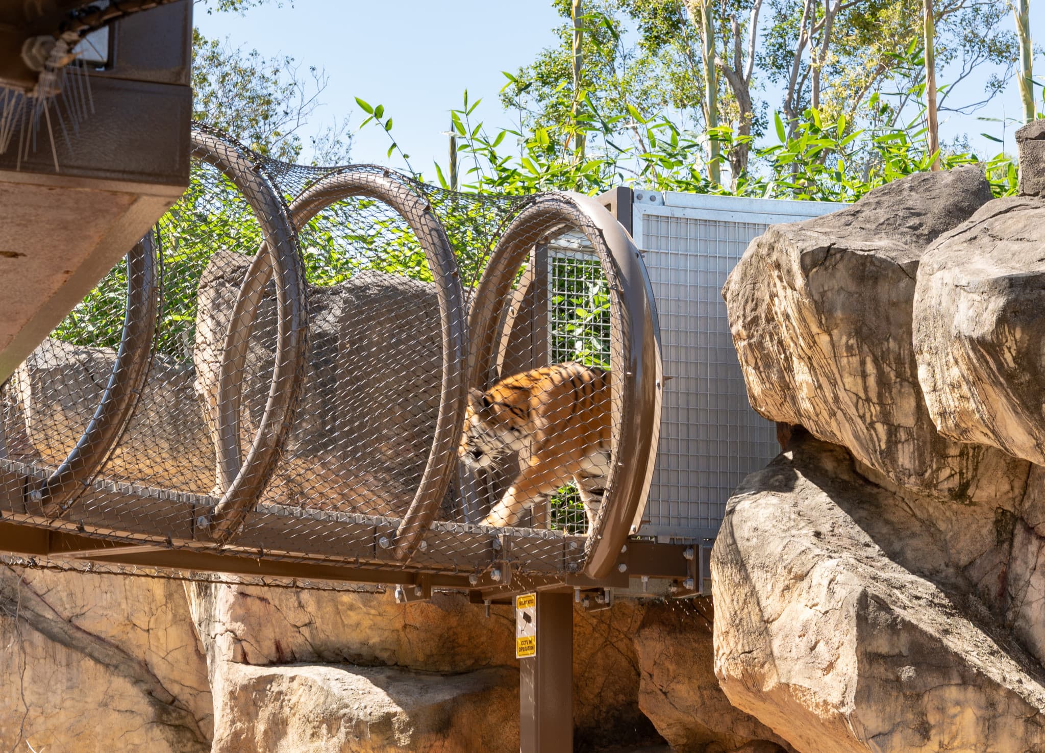 Dreamworld Gold Coast Ticket - image 11