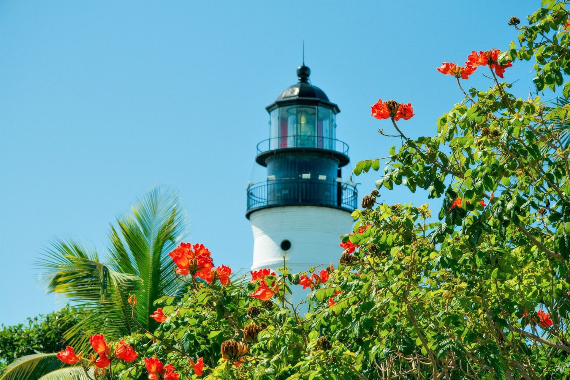 Excursión de un día a Key West desde Miami con actividades opcionales - imagen 21