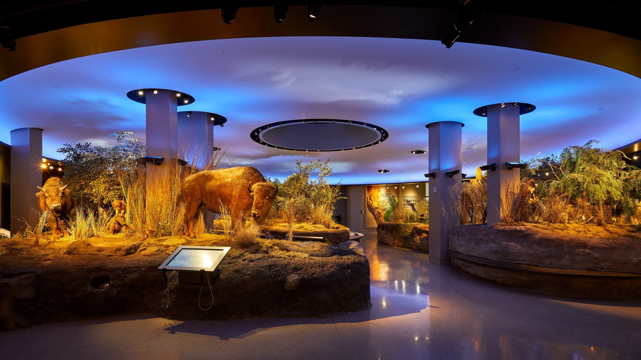 Go City San Antonio Highlights Pass: 3 Attractions - image 12