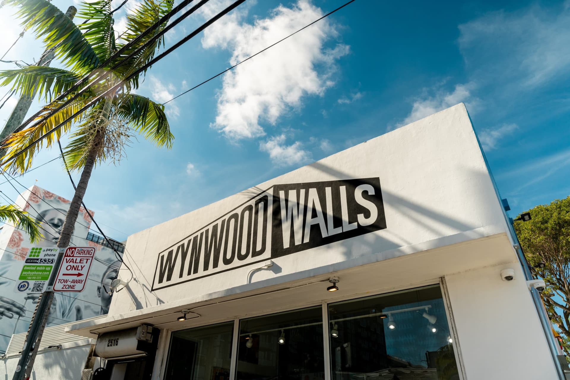 Miami: Entrada sin filas para Wynwood Walls - imagen 5
