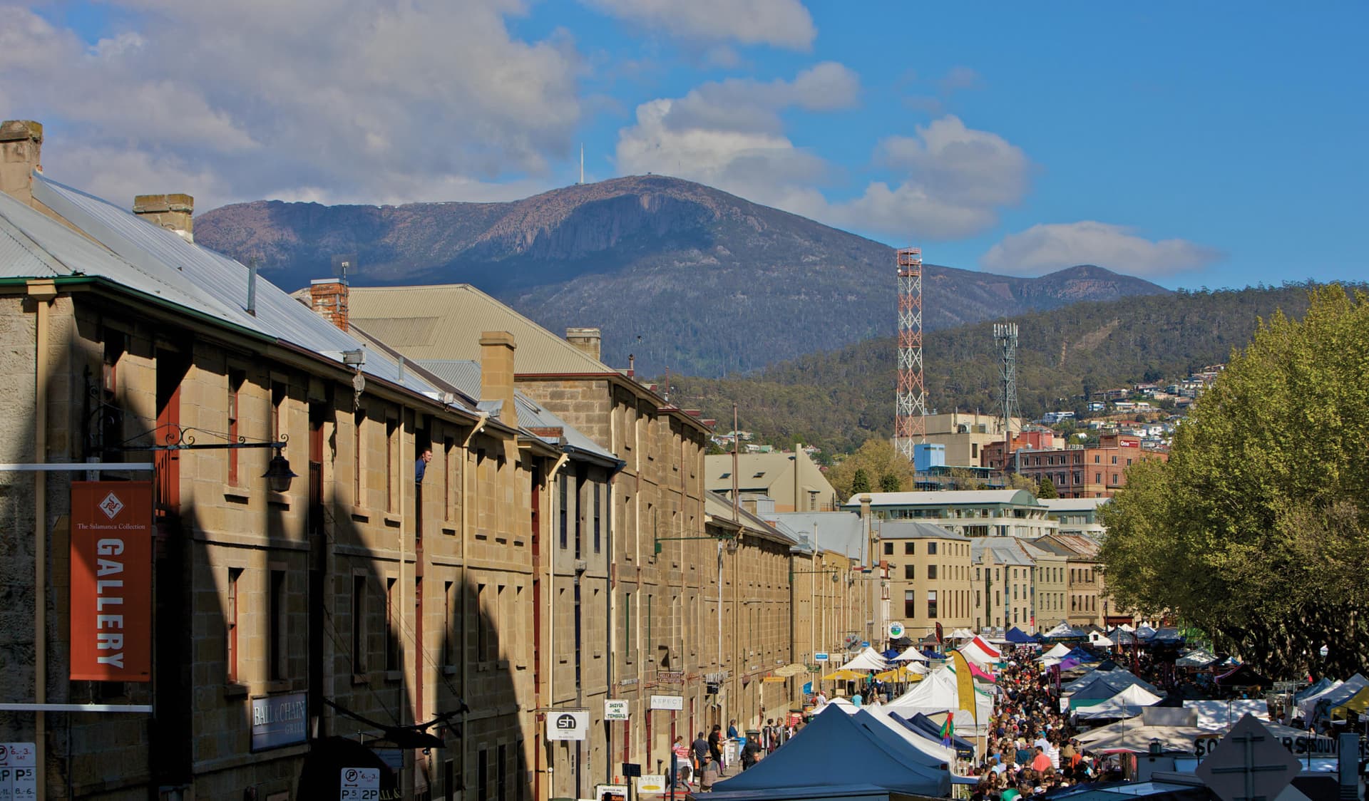 Mount Wellington and Hobart City Tour - image 10