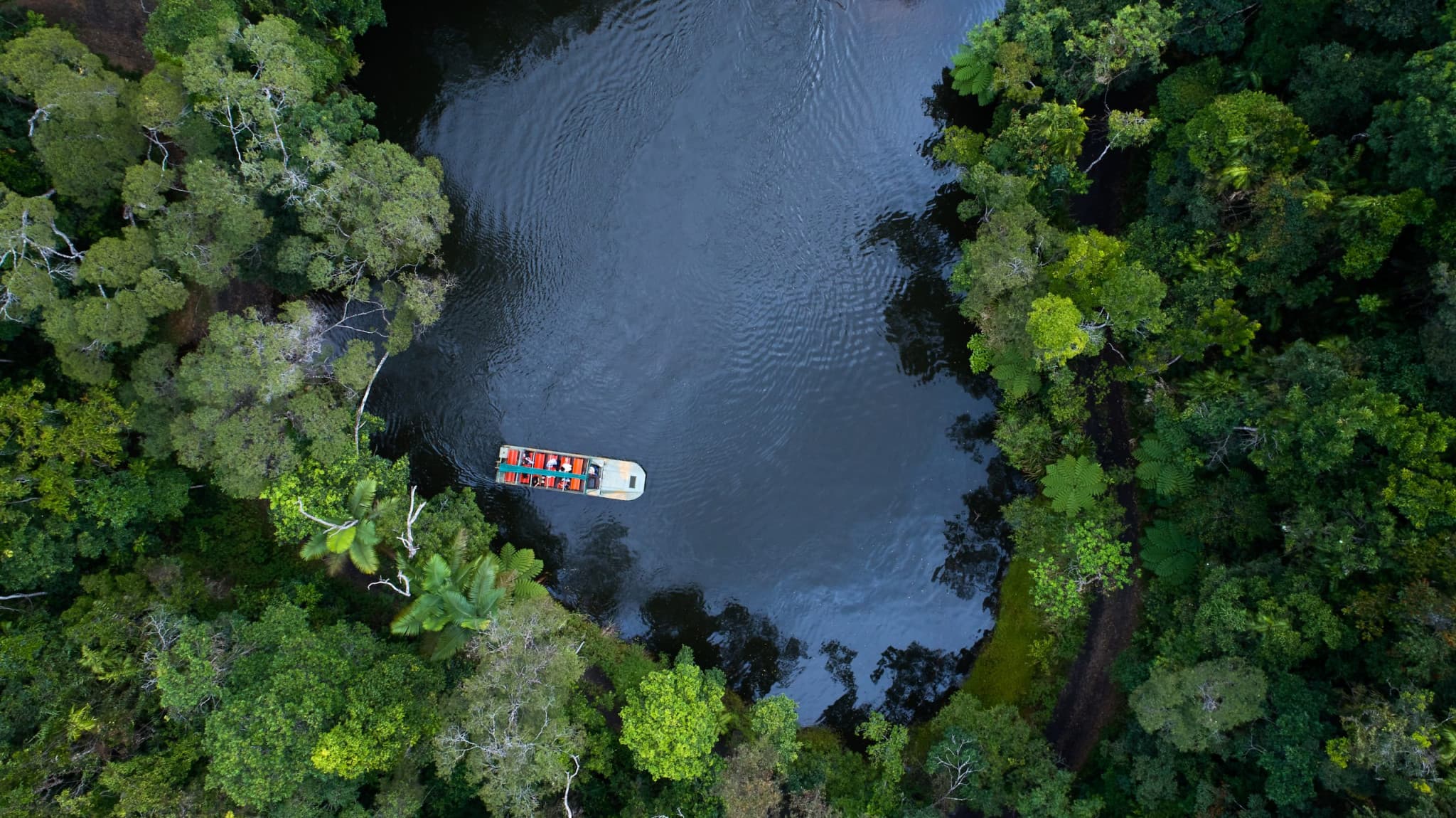 Full-Day Kuranda Tour with Skyrail Cableway, Scenic Railway and Rainforestation - image 6