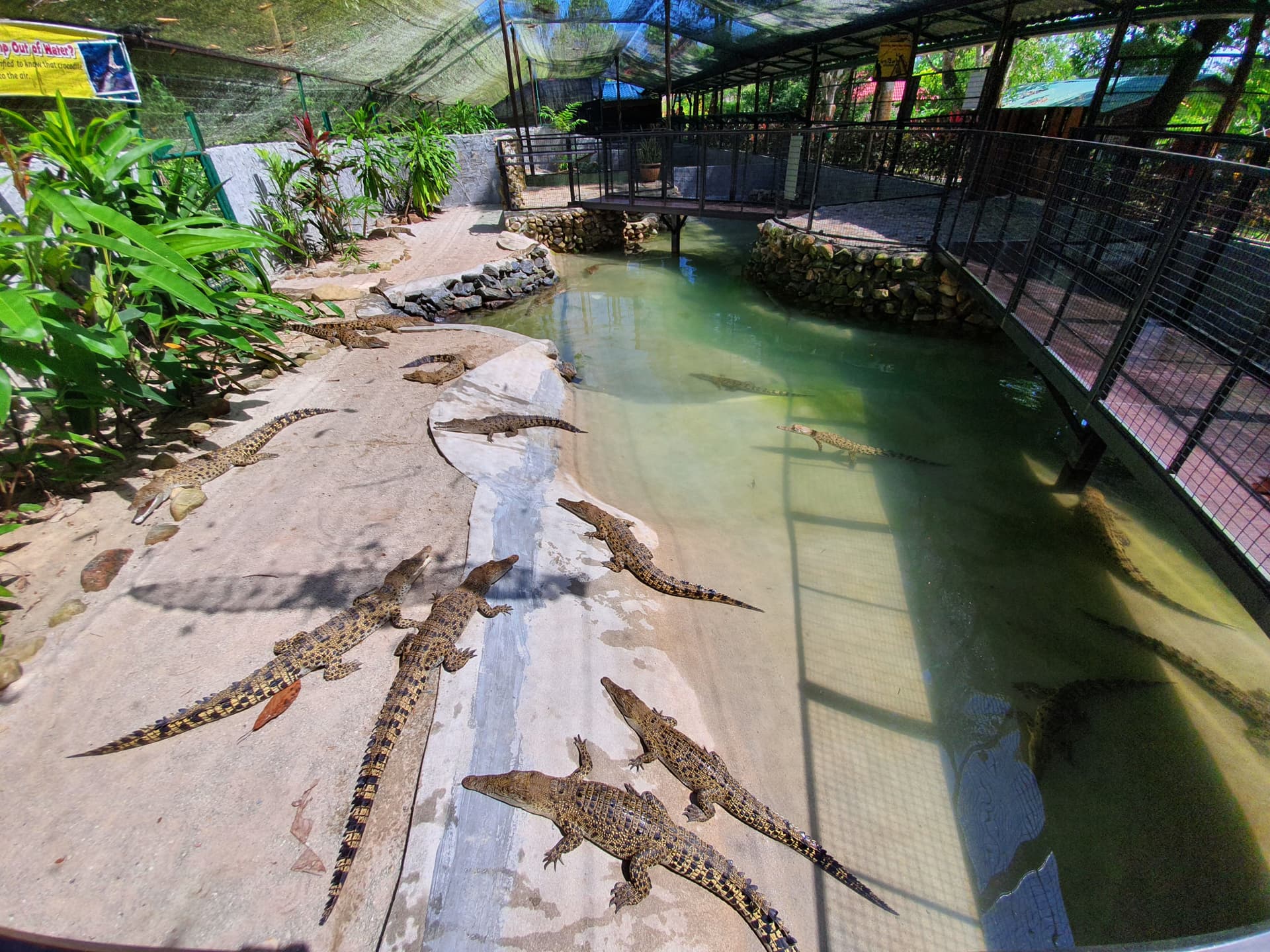 Crocodile Adventureland Langkawi - imagen 9