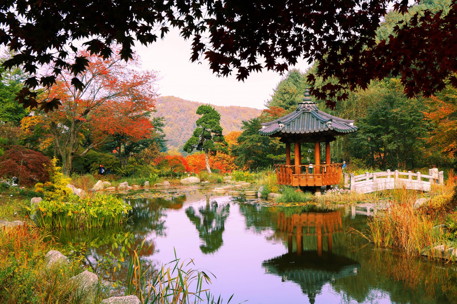 Nami Island, Petite France, Italian Village, and Garden of Morning Calm Tour from Seoul - main image