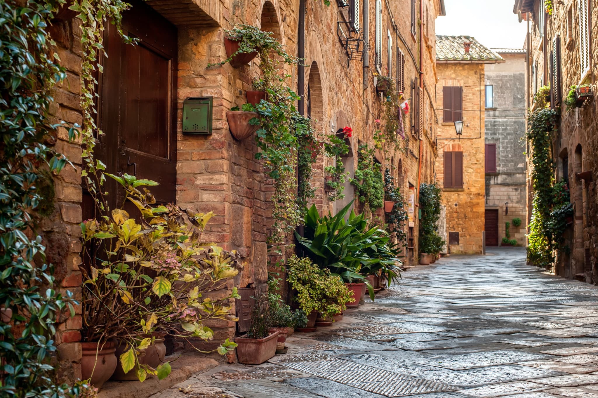 Medieval Tuscany Tour from Florence: Monteriggioni, Montalcino, Pienza - image 7