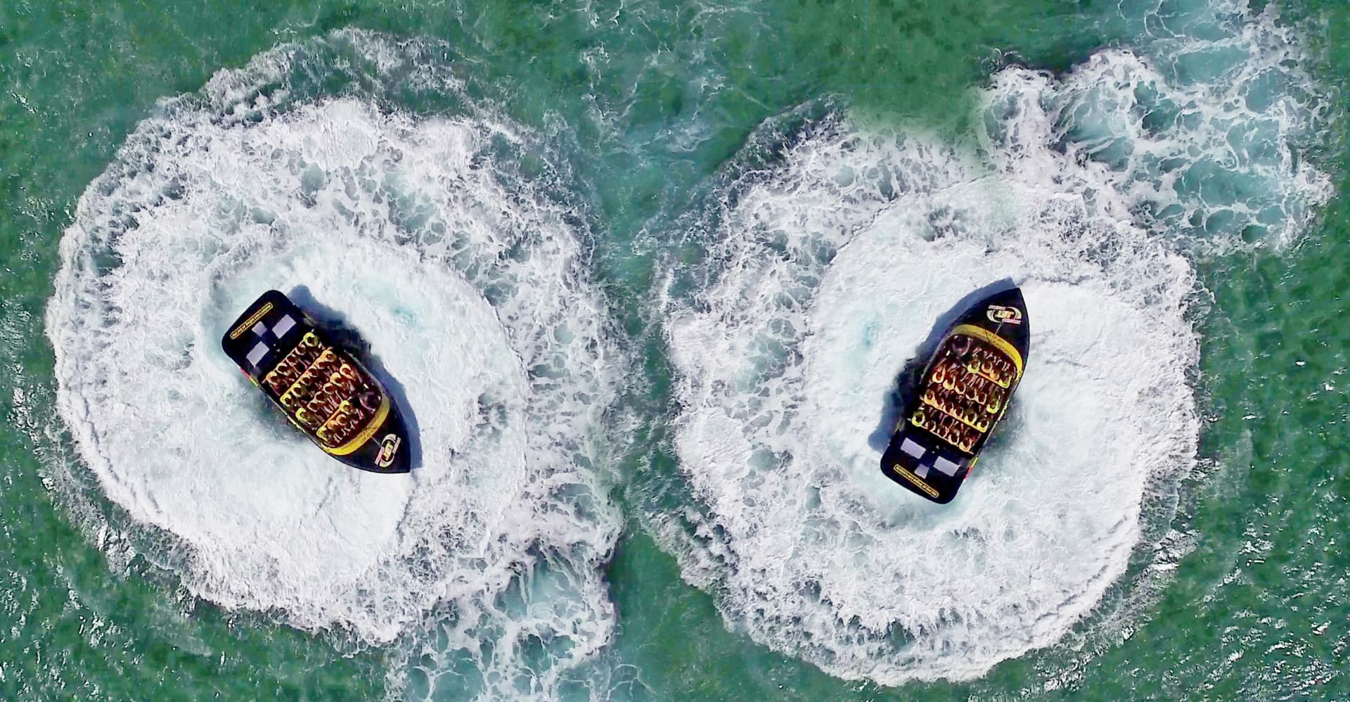 COMBO: Dreamworld + SkyPoint + Paradise Jet Boating en Gold Coast - imagen 7
