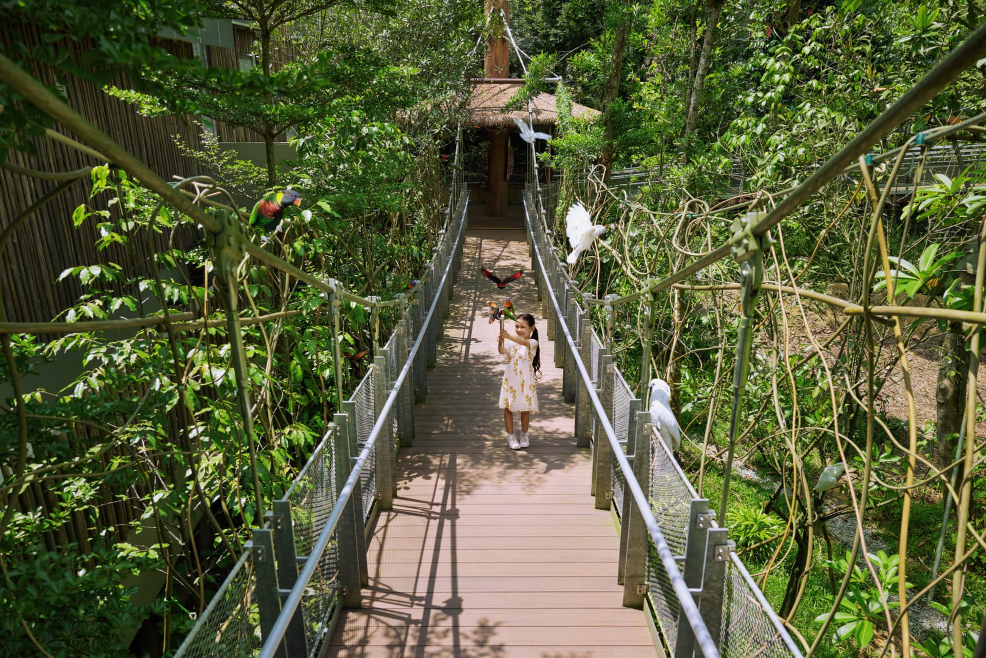 COMBO: River Wonders + Bird Paradise Ticket - imagen 12