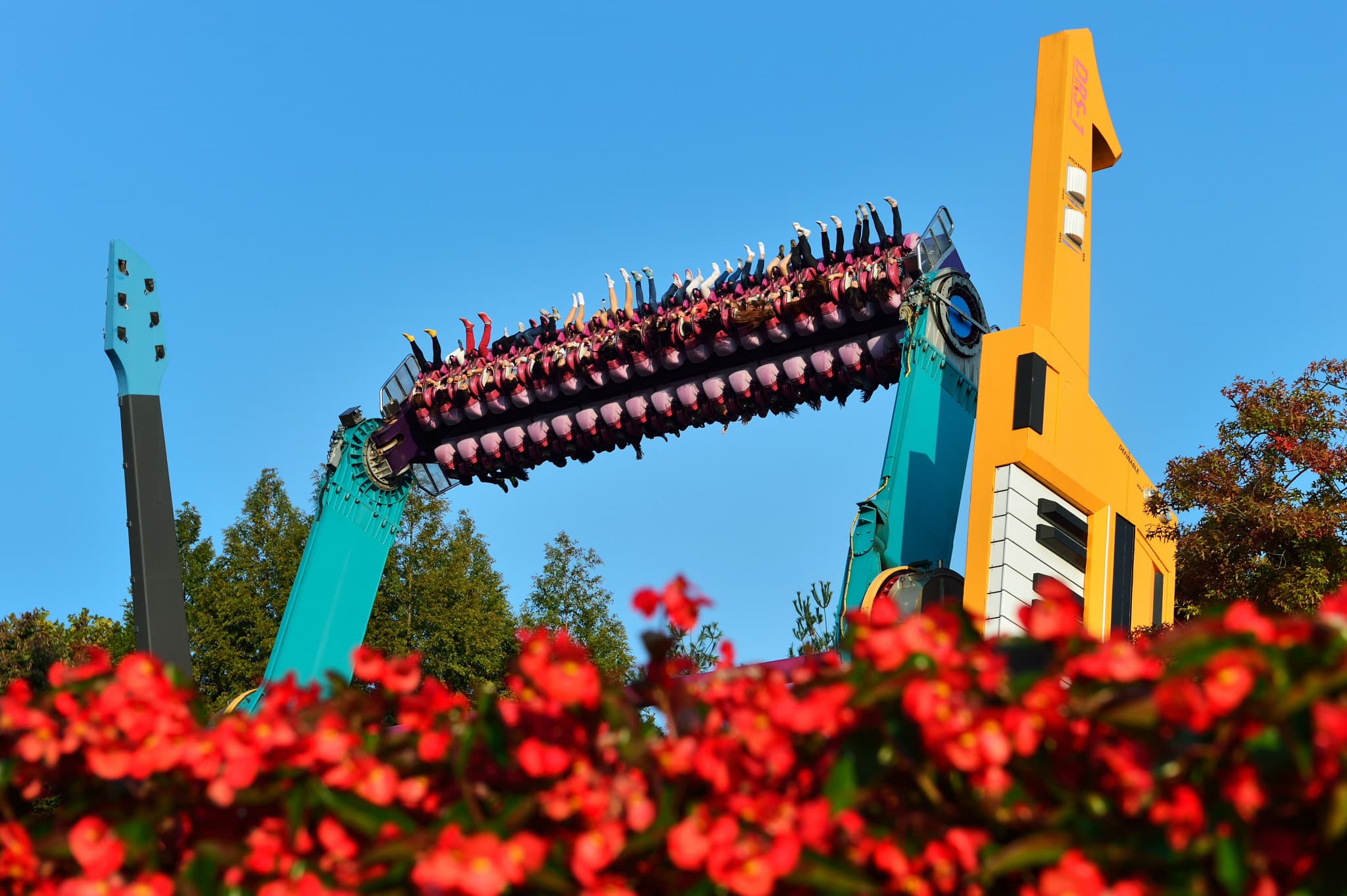 Everland Theme Park Ticket - image 8