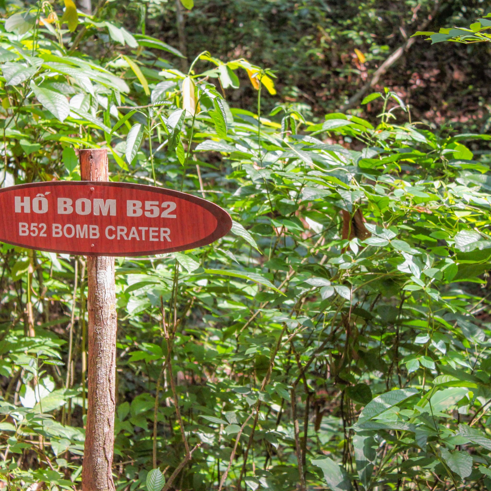 Cu Chi Tunnels and Mekong Delta Full-Day Tour from Ho Chi Minh - image 8