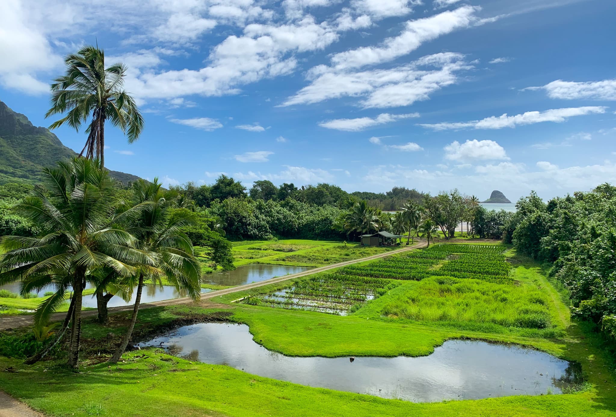 Go City Oahu All-Inclusive Pass: Save up to 50% on Attractions - image 15
