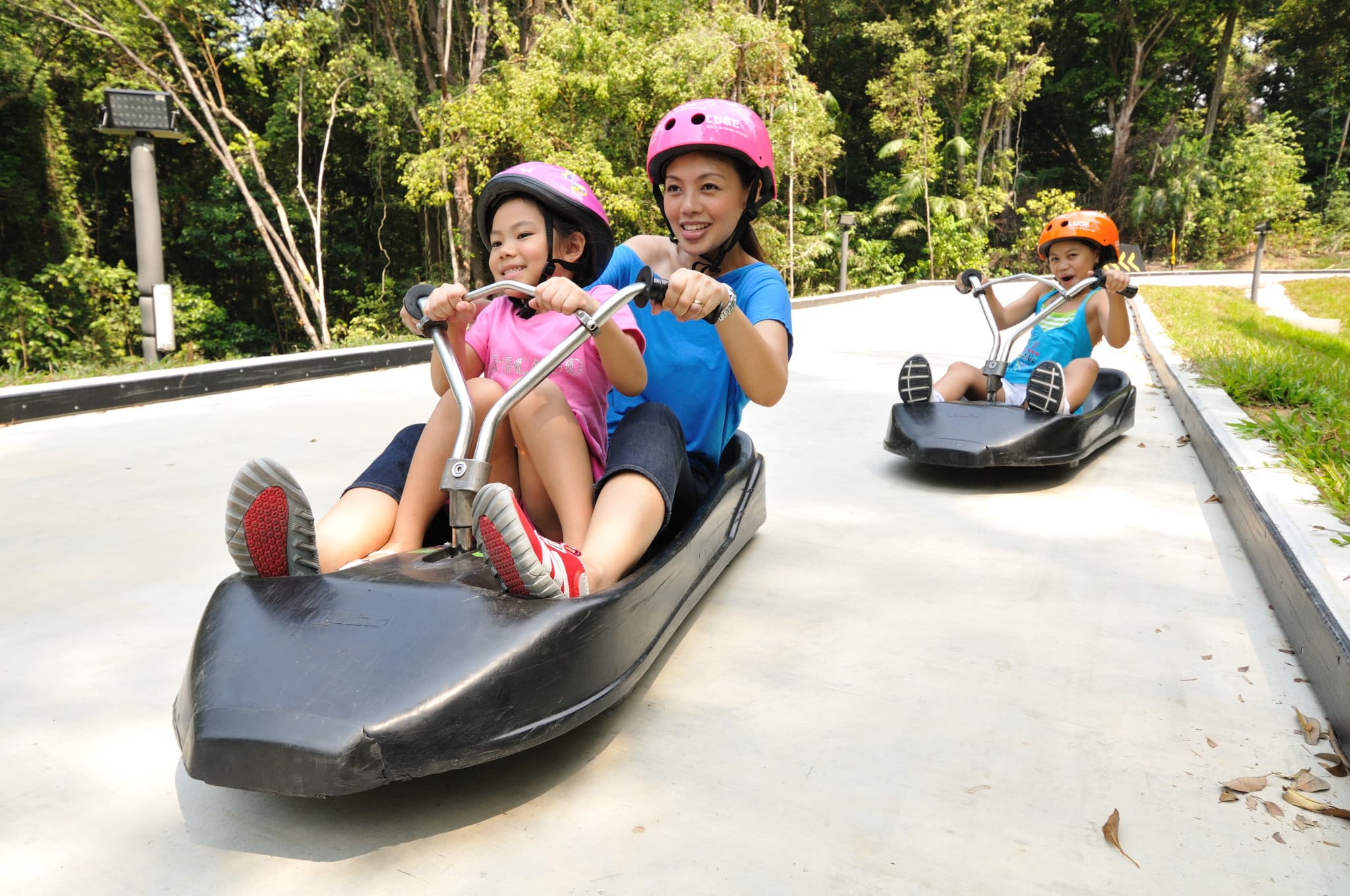 COMBO: Skyline Luge Singapore + Gardens by the Bay Ticket - image 2