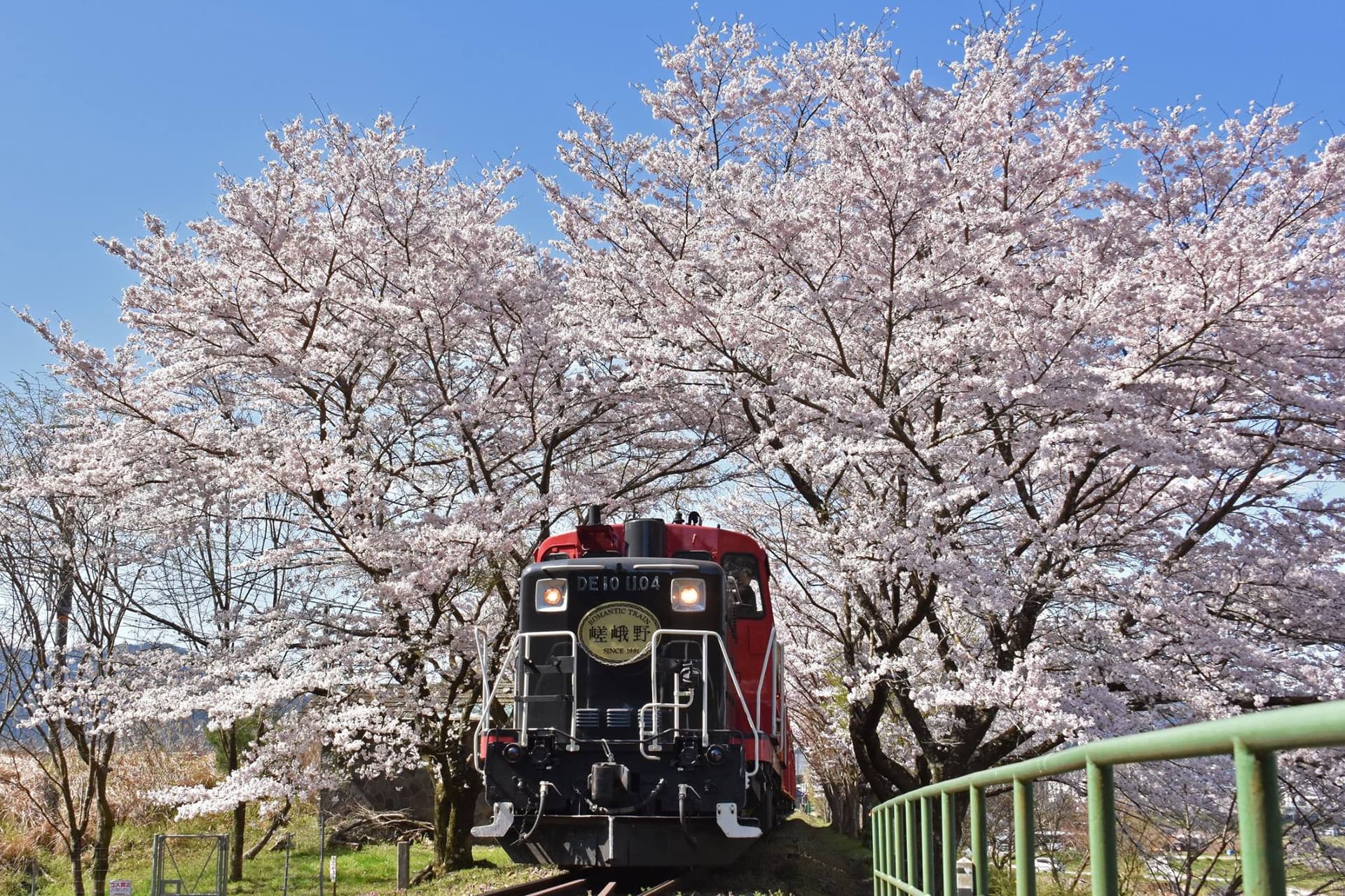 Tren Romántico de Sagano - imagen 15