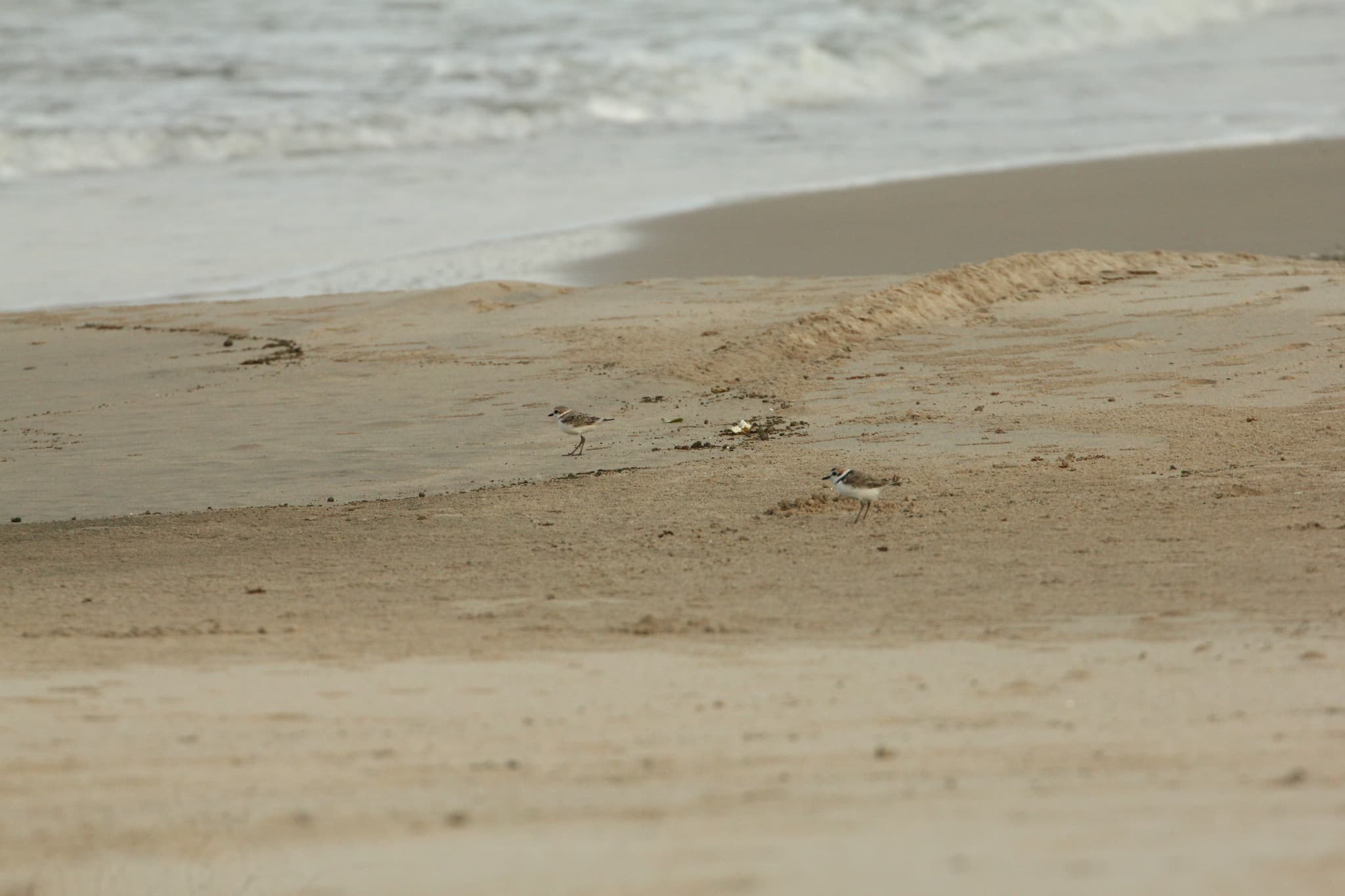 Desaru Beach and Tide Pool Walk - image 41
