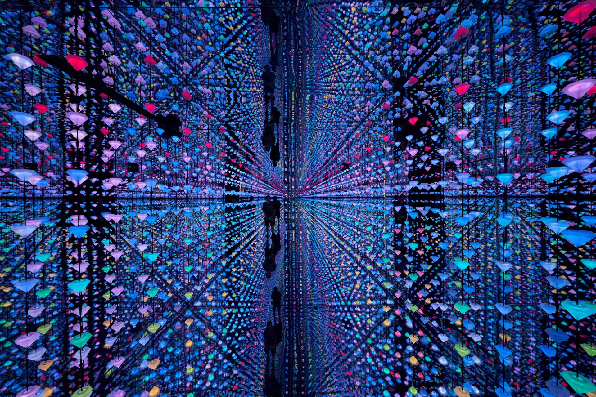 Entrada al Moco Museum Ámsterdam - imagen 2