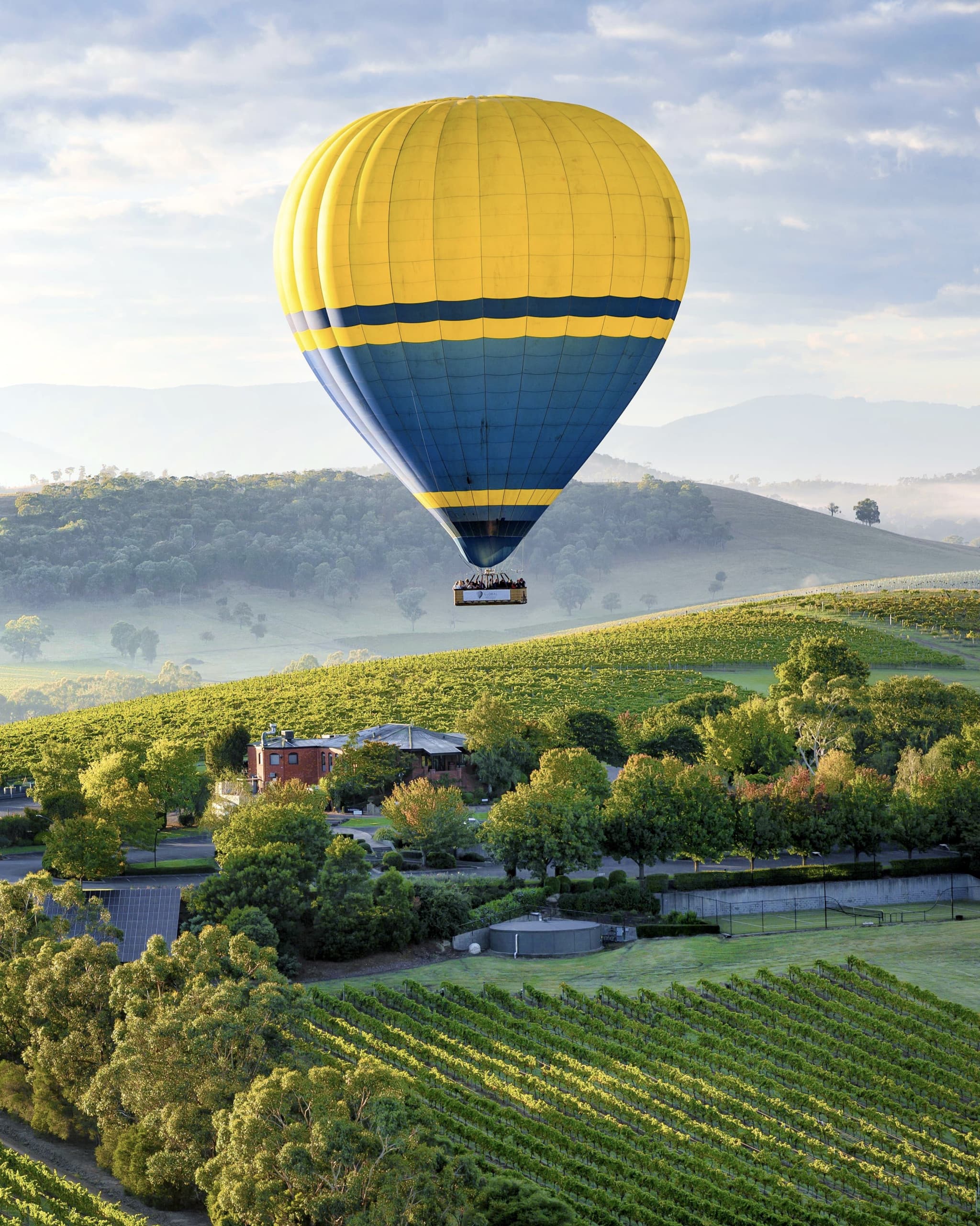 Sunrise Hot Air Balloon Flight over Yarra Valley with Photos - image 8