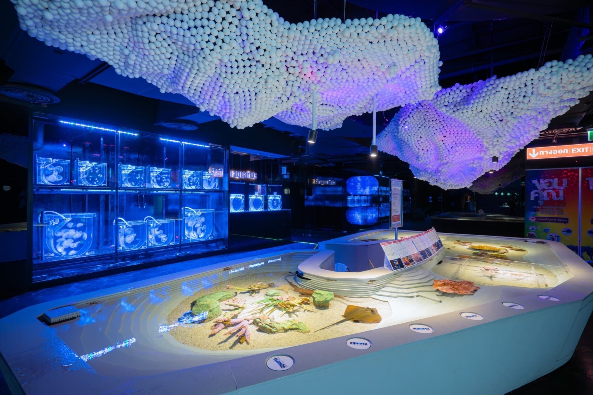 Aquaria Phuket - image 27