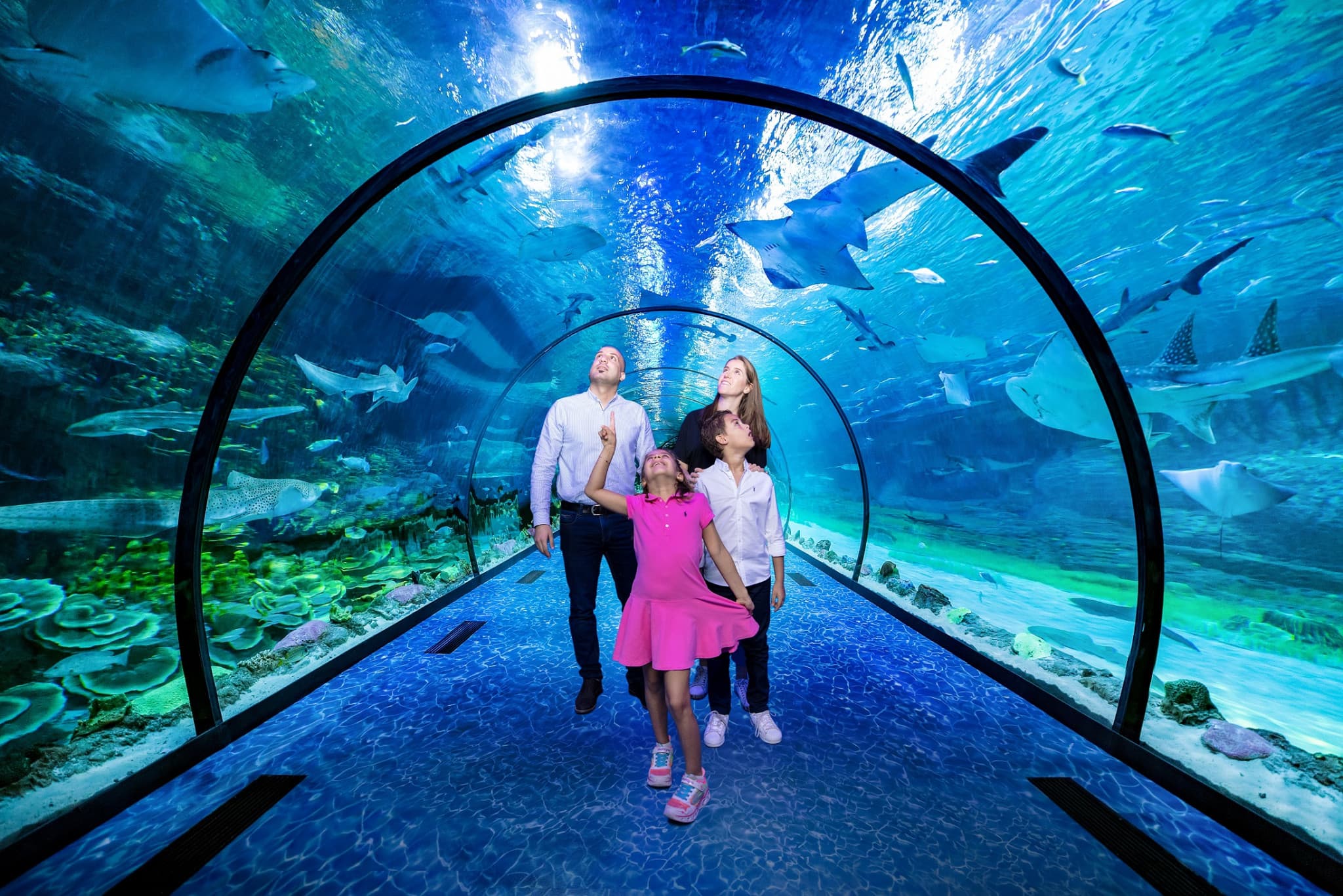 COMBO: The National Aquarium + Louvre Abu Dhabi Tickets - image 3
