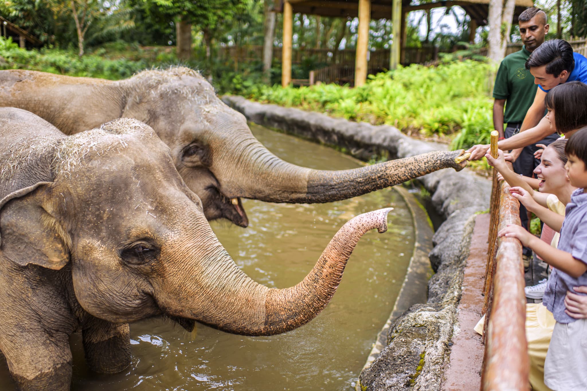 COMBO: Singapore Zoo + River Wonders Ticket - image 2