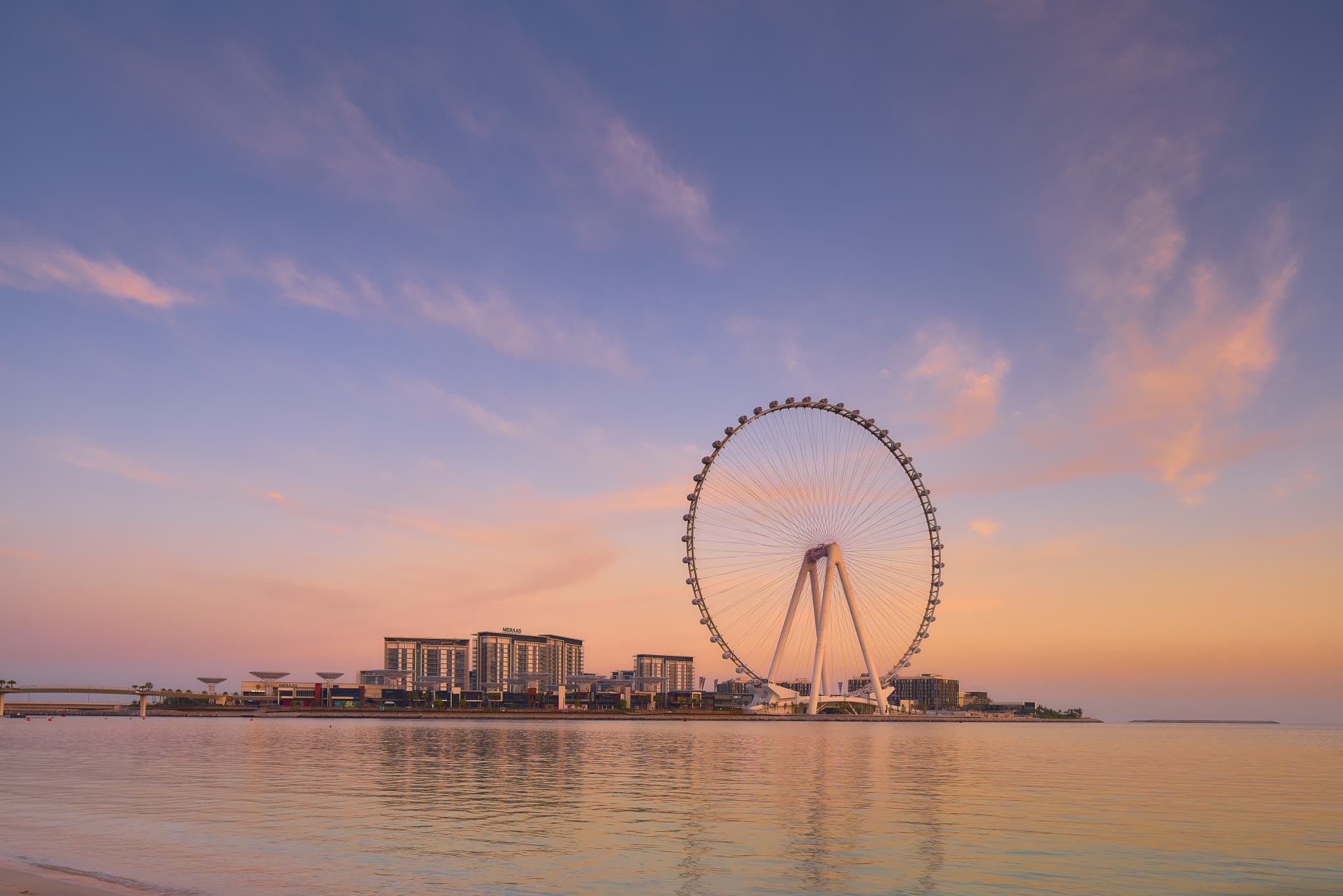COMBO: Ain Dubai + The Green Planet Tickets - image 3