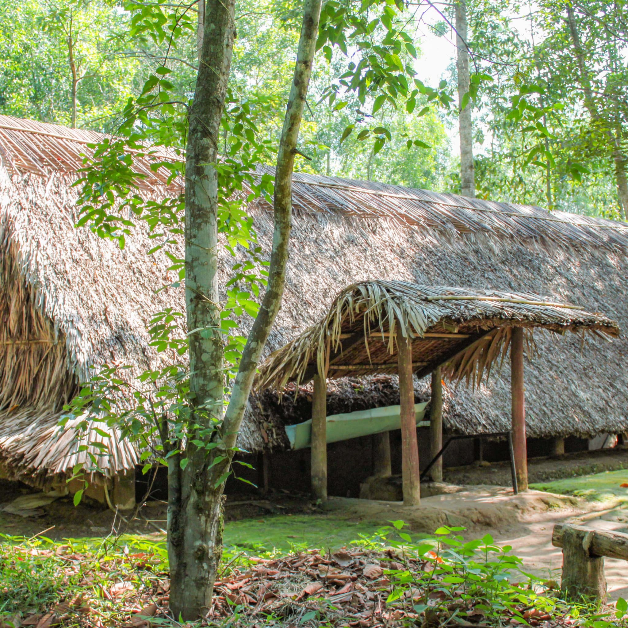 Cu Chi Tunnels and Mekong Delta Full-Day Tour from Ho Chi Minh - image 11