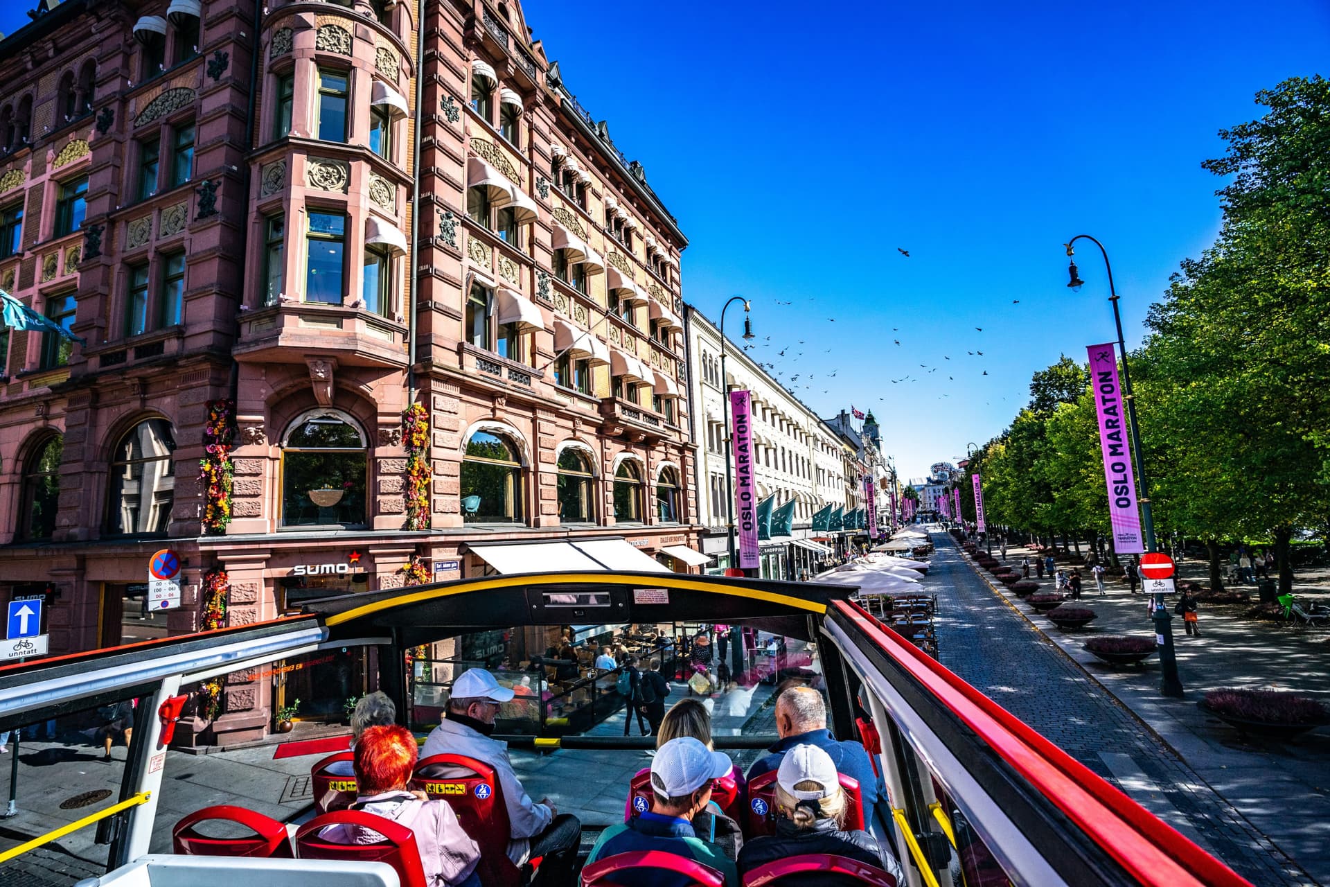 Tour en autobús City Sightseeing Oslo Hop-on Hop-off - imagen 11