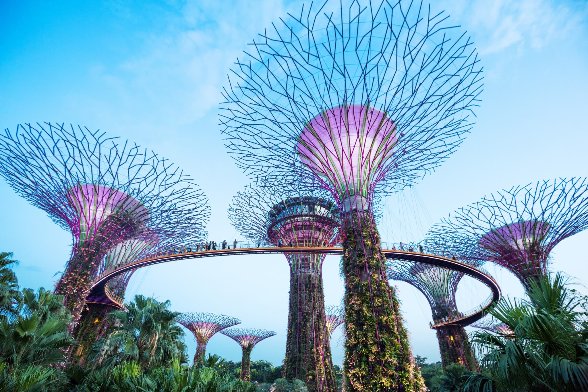 Go City Singapore All-Inclusive Pass: Save up to 50% on Attractions - image 4
