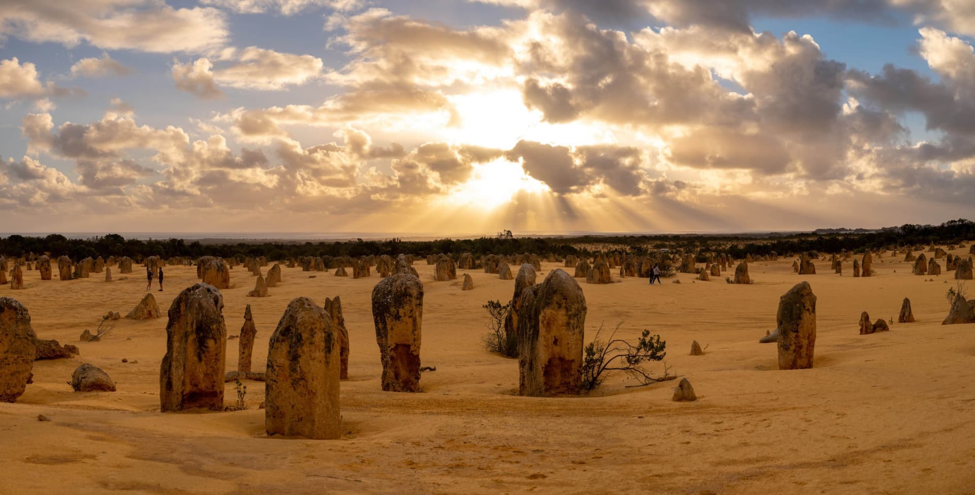 Pinnacles Desert Sunset and Stargazing Tour from Perth - image 4