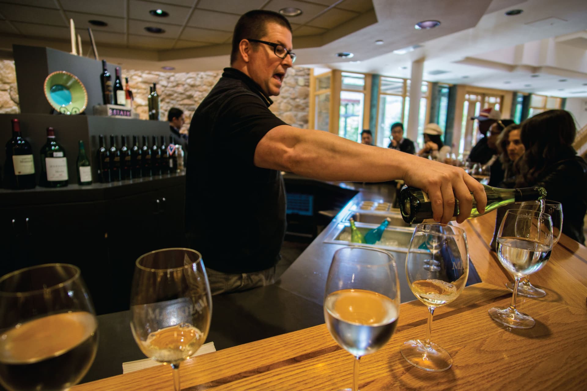 San Francisco Half-Day Wine Country Tour - image 8