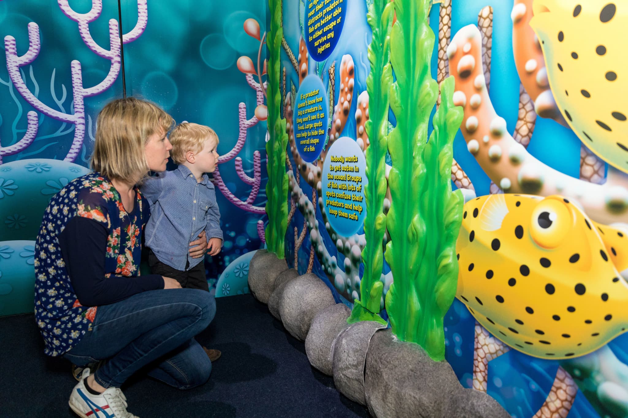 SEA LIFE Kelly Tarlton's Aquarium Ticket - image 14